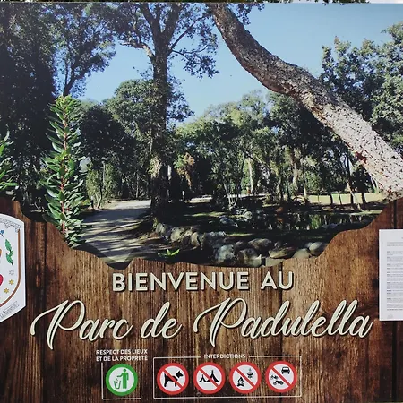 Apartmán T2 Climatise, Pour 2 A 4 Pers, A 5Mn Plage A Pied San-Nicolao