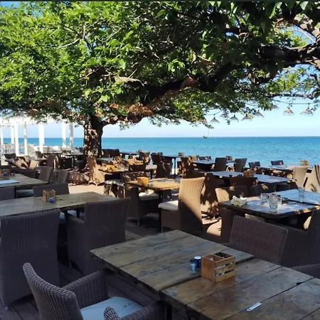 Appart Pour 2 A 4 Personnes,Grande Terrasse, A 5Mn A Pied De La Plage