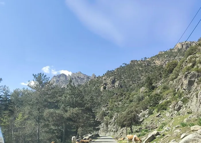 T2 en résidence avec belle terrasse, à 5mn à pied de la plage Apartamento San-Nicolao